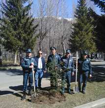 Քաղաքացու օրվան նվիրված տոնը մեկնարկեց ծառատունկով